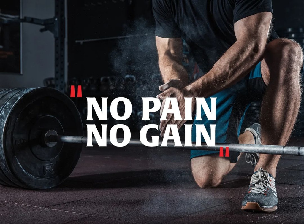 The Zone - Ultimate Fitness