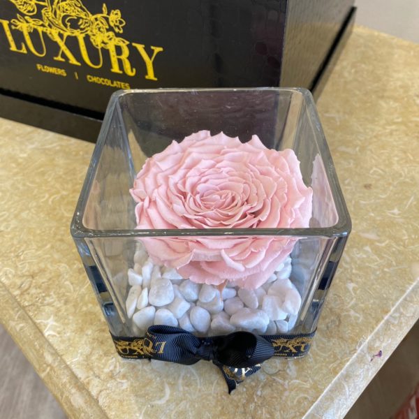 Infinity Rose in Glass