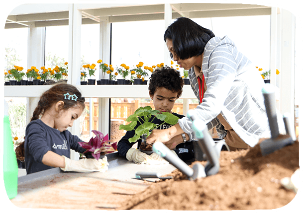 Elegancia Landscape Greenhouse