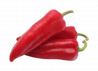 Chili Red Flat Lebanon