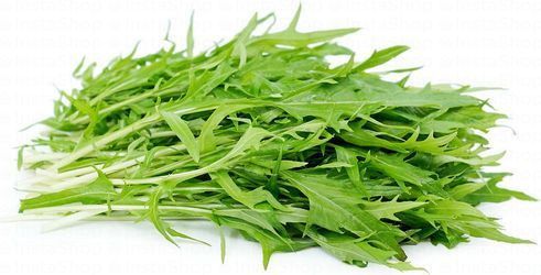 Dandelion Leaves Lebanon