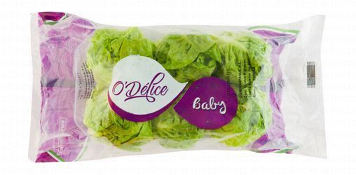 O'Delice Baby Romain Lettuce