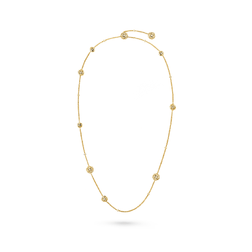 Les infinis de Camélia