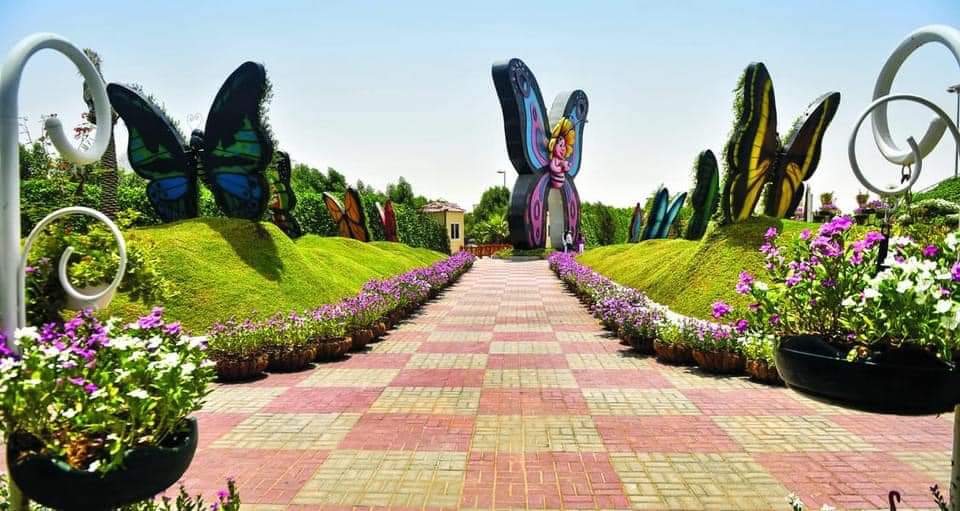 The best entertainment offers in Butterfly Garden