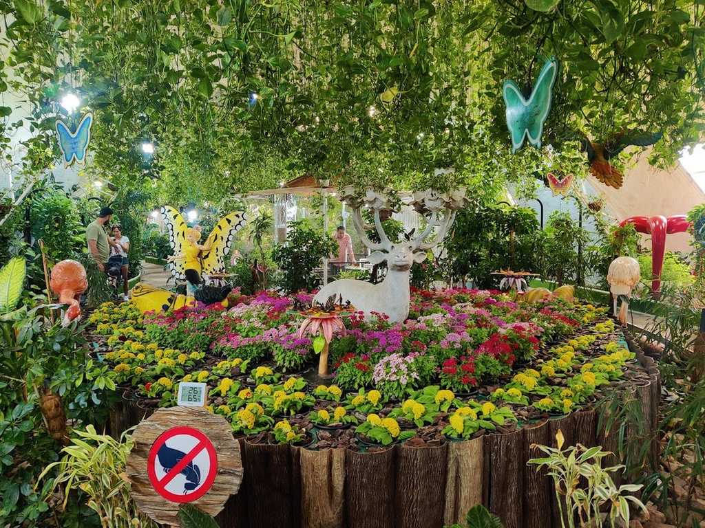 The best entertainment offers in Butterfly Garden