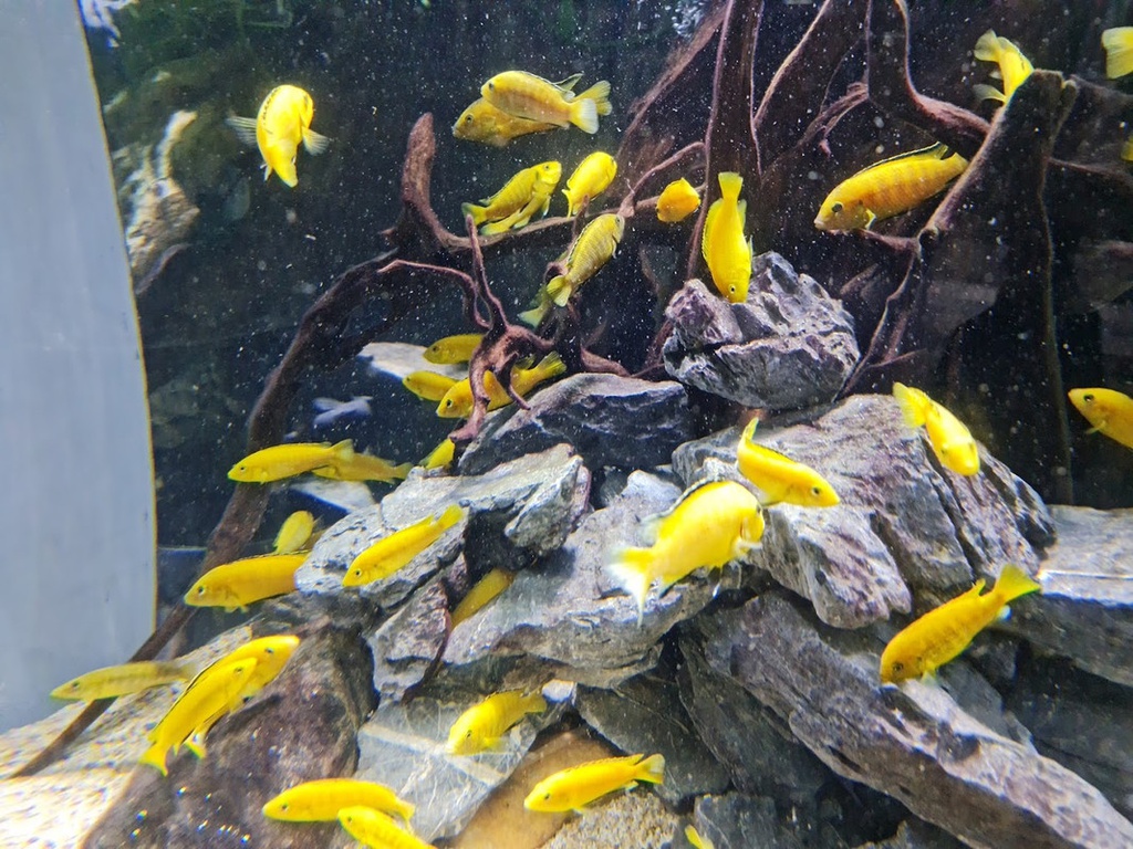 The best entertainment offers in Dubai Aquarium &amp; Underwater Zoo