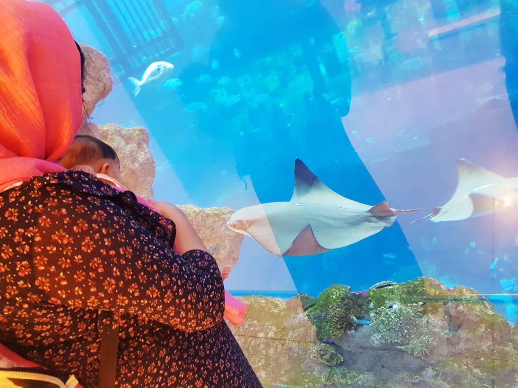 The best entertainment offers in Dubai Aquarium &amp; Underwater Zoo