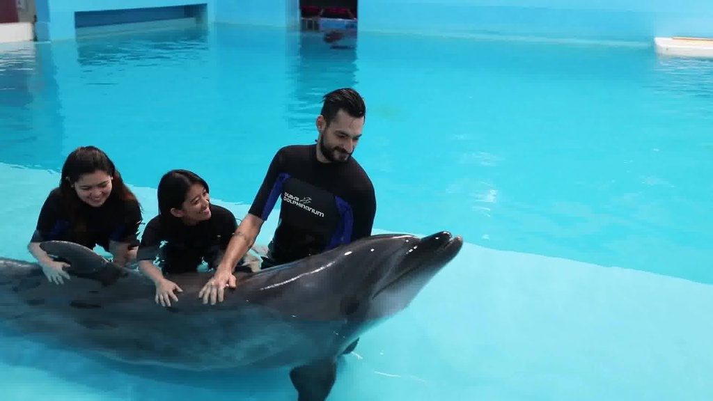 The best entertainment offers in Dubai Dolphinarium