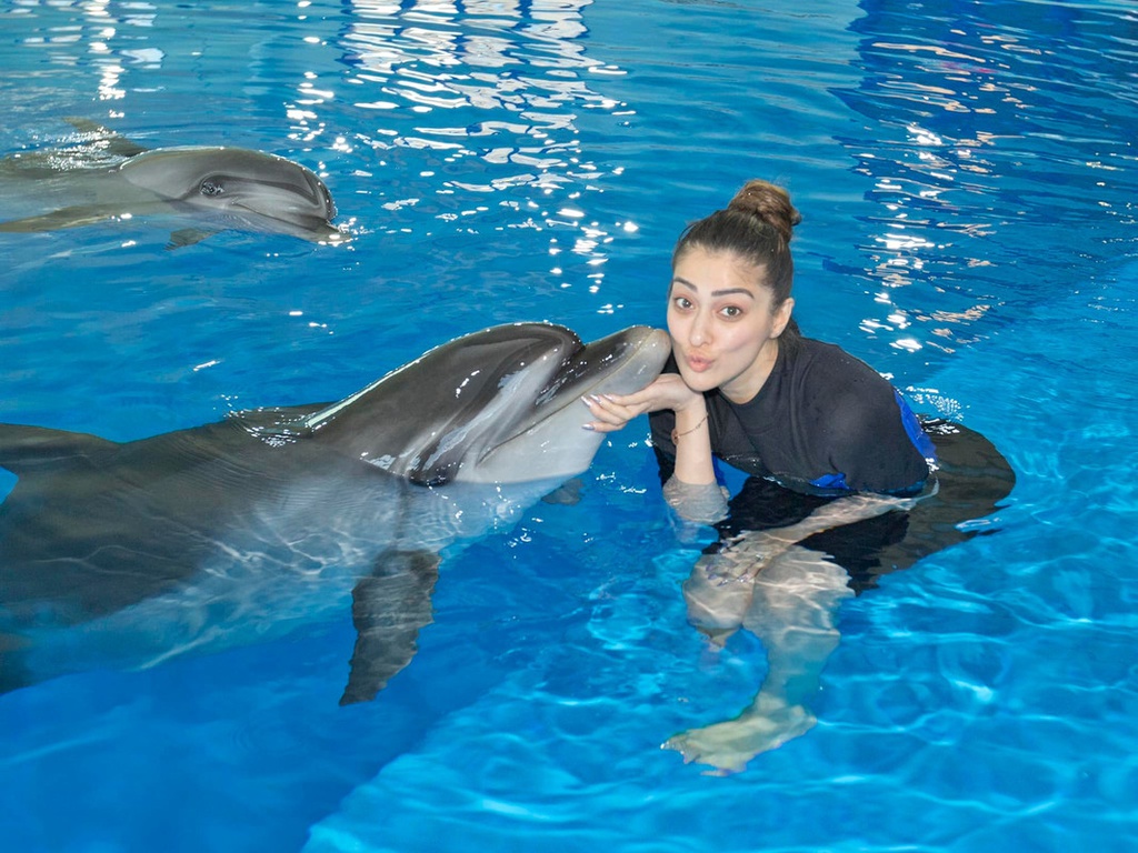 The best entertainment offers in Dubai Dolphinarium