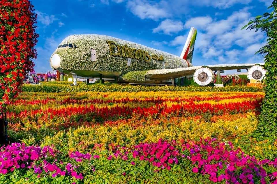 The best entertainment offers in Dubai Miracle Garden