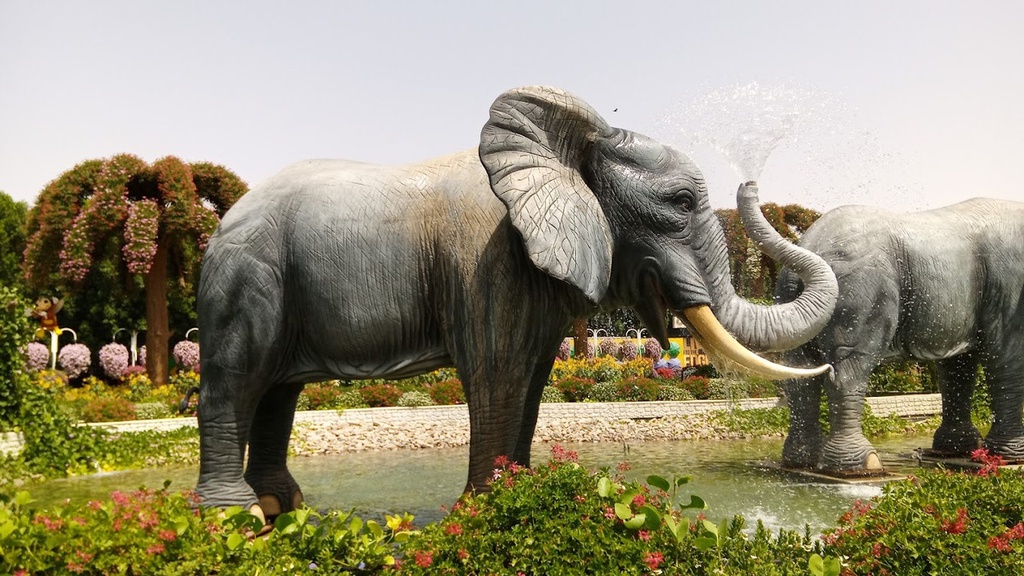 The best entertainment offers in Dubai Miracle Garden