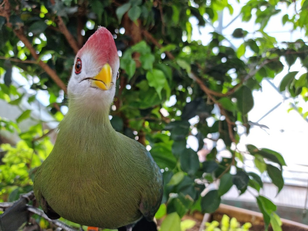 The best entertainment offers in The Green Planet