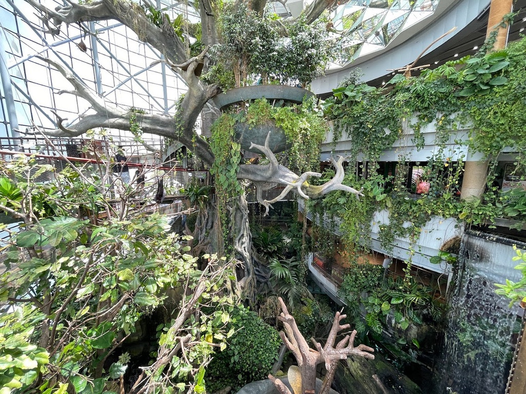 The best entertainment offers in The Green Planet