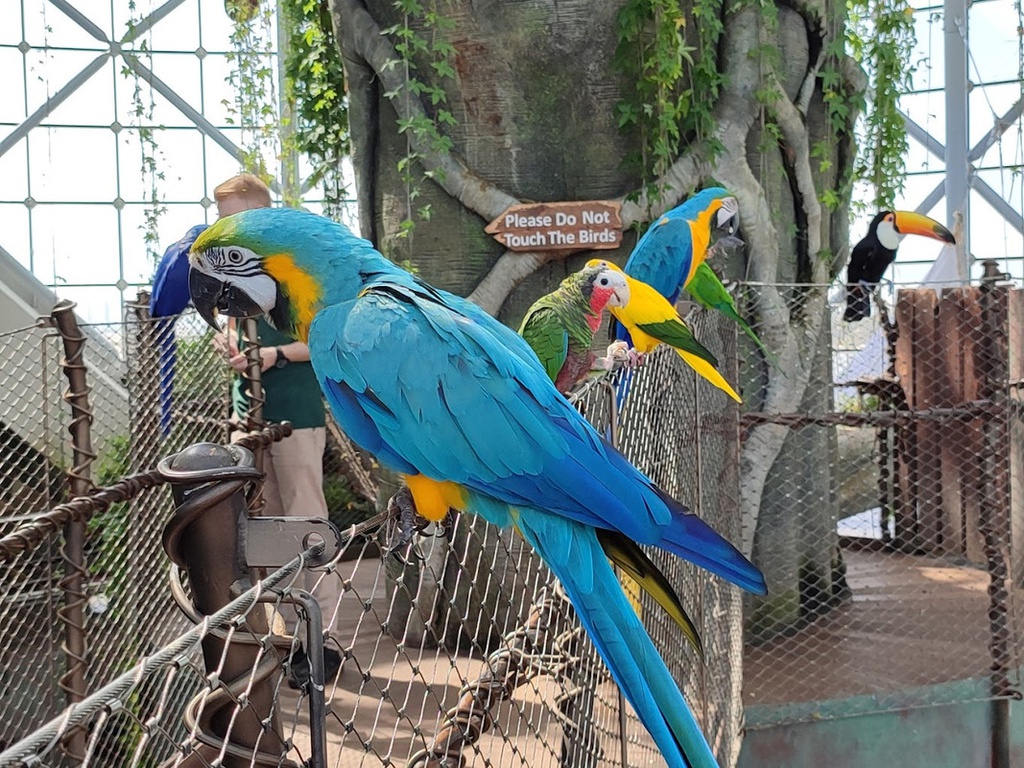 The best entertainment offers in The Green Planet