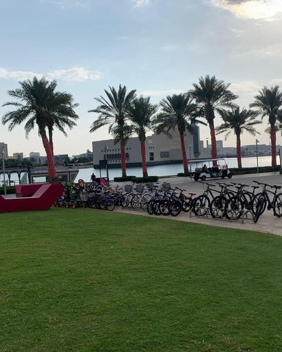 Berg Arabia -  5/6 Park Bicycle rental