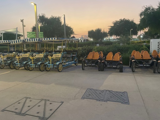 Berg Arabia -  5/6 Park Bicycle rental