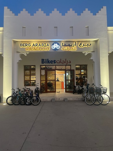 Berg Arabia -  5/6 Park Bicycle rental