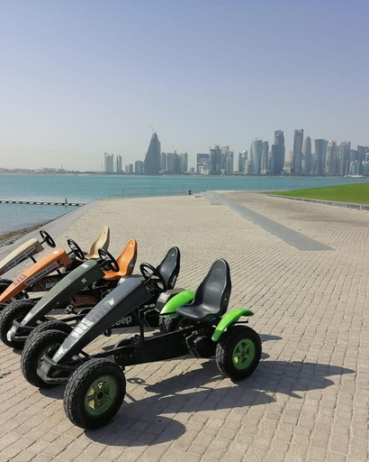 Berg Arabia -  5/6 Park Bicycle rental