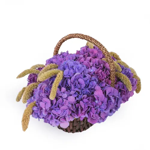 Snooflower Flowers and Chocolate