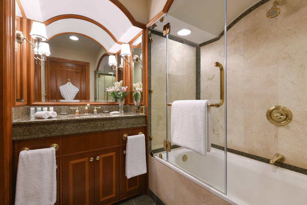 Deluxe Room (Double)