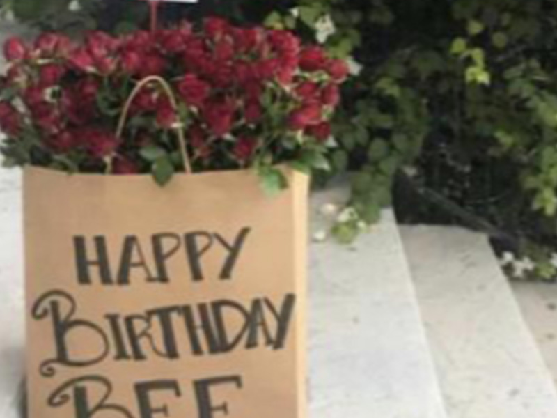 Paper Bag With Baby Rose Red 23