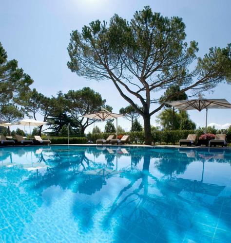 Palace Junior Suite with Lake View