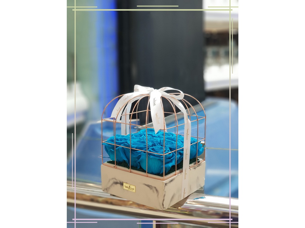 Long Life Flowers 14