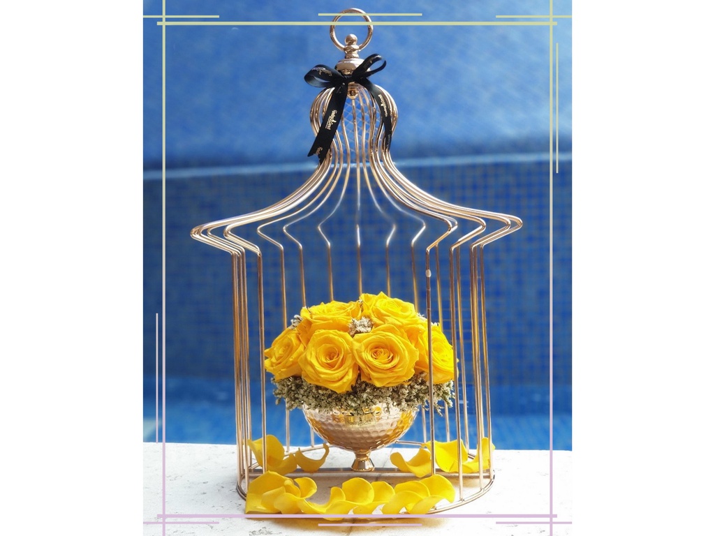 Long Life Flowers 26