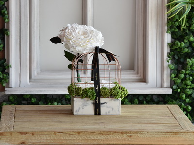 Long Life Flowers 117